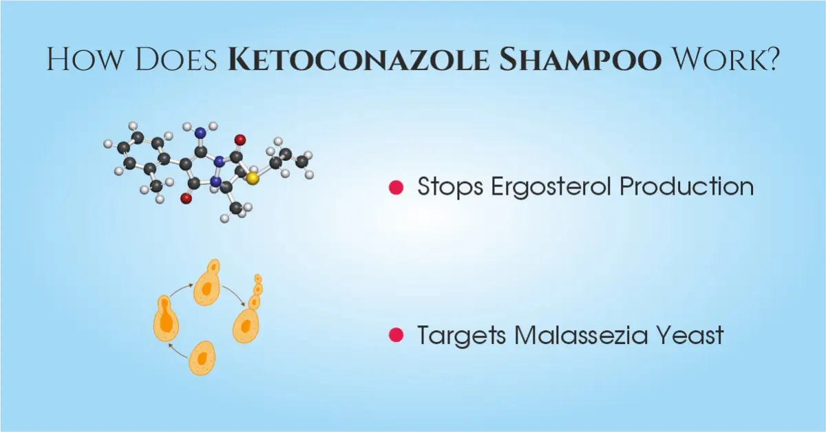 How Does Ketoconazole Shampoo Work