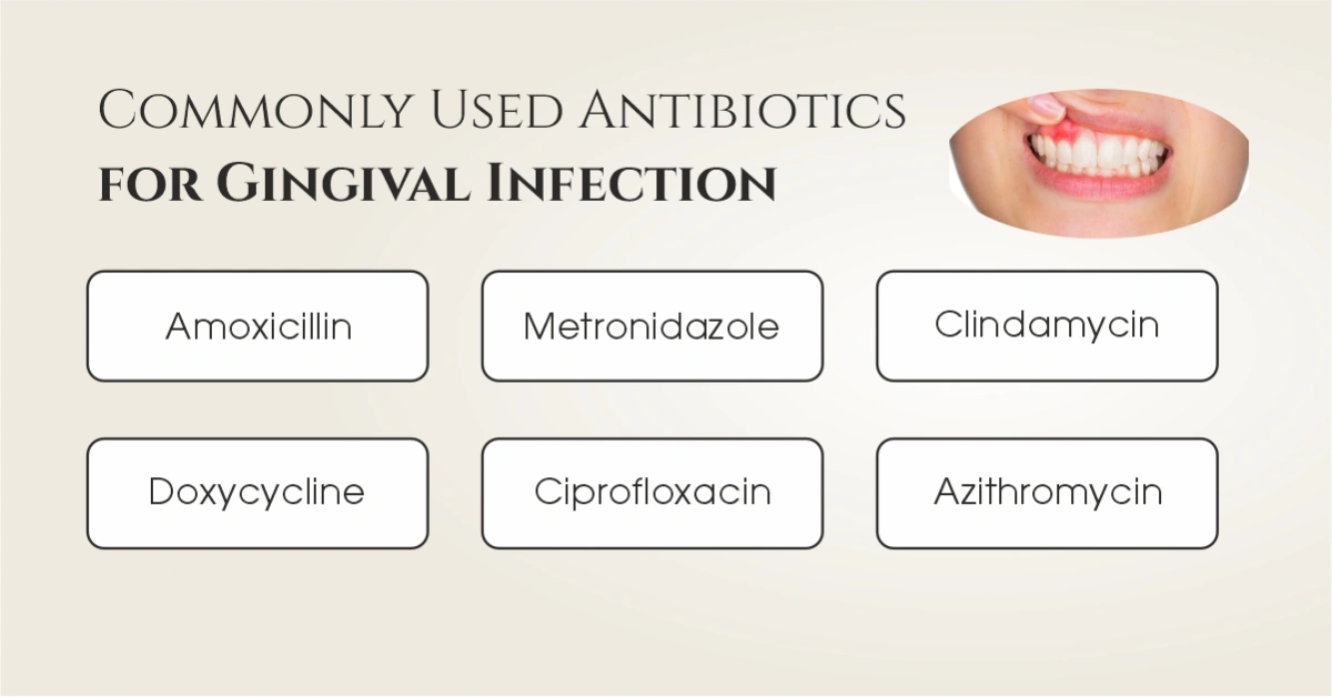 Commonly Used Antibiotics for Gingival Infection